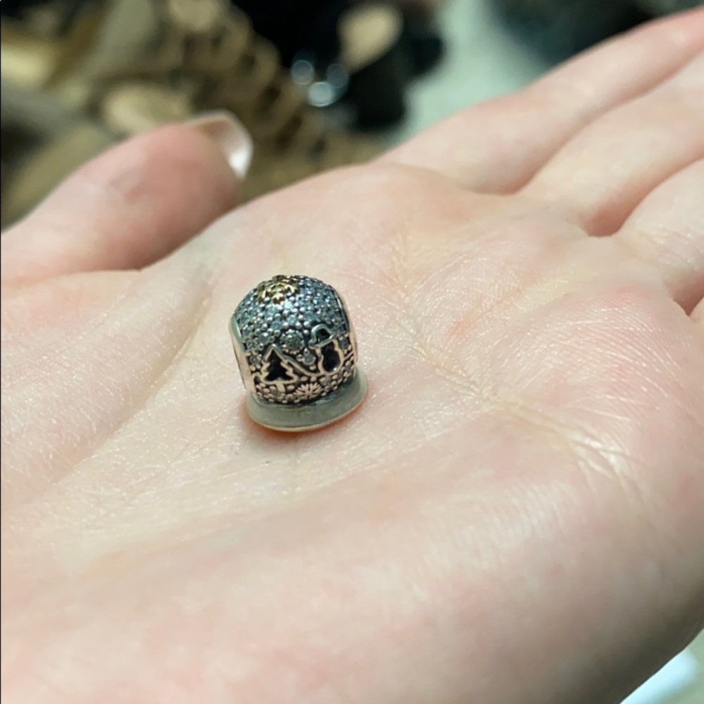 Pandora Charm